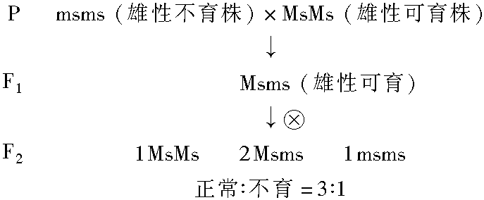 3.4 細胞質(zhì)遺傳